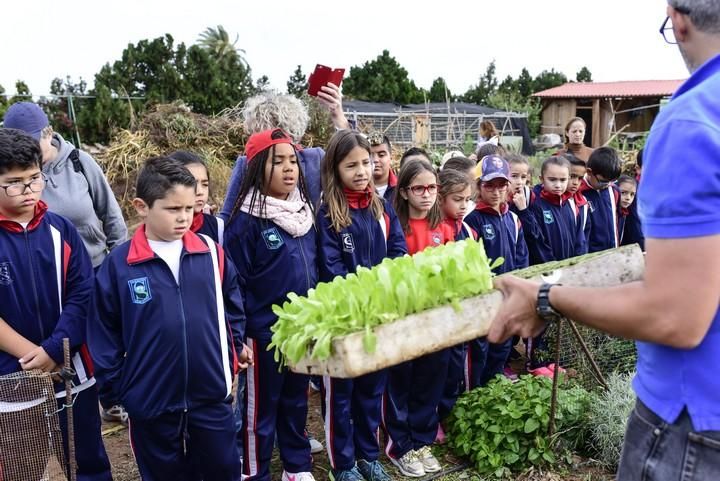 Visita escolar a la Granja Agricola del Cabildo