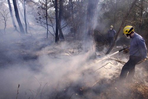 Incendi forestal a peu de les Gavarres