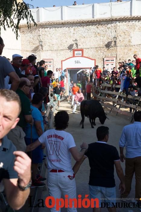 Primer encierro de Calasparra