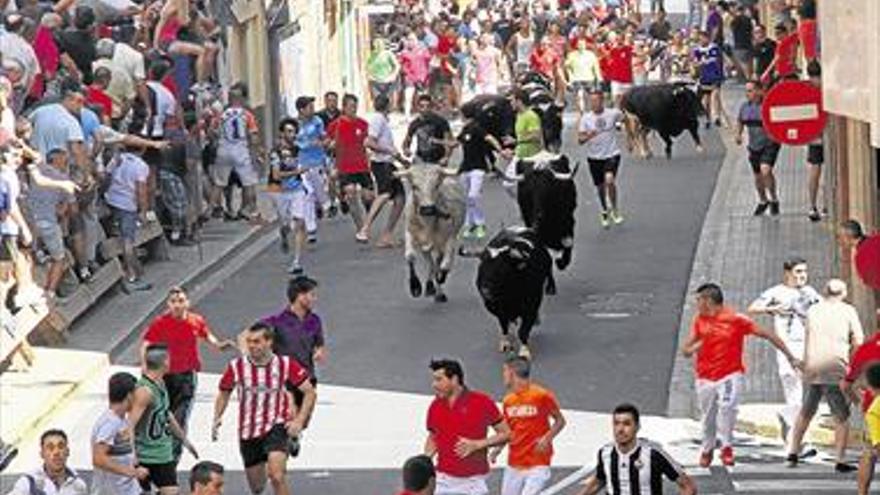 L’Alcora soltará para el Cristo 18 toros de reconocidas ganaderías