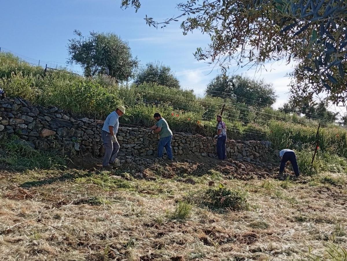 Primera intervención que realiza el proyecto.
