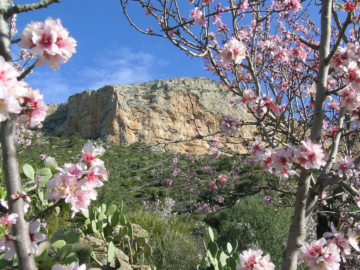 Parque Natural del Montgó