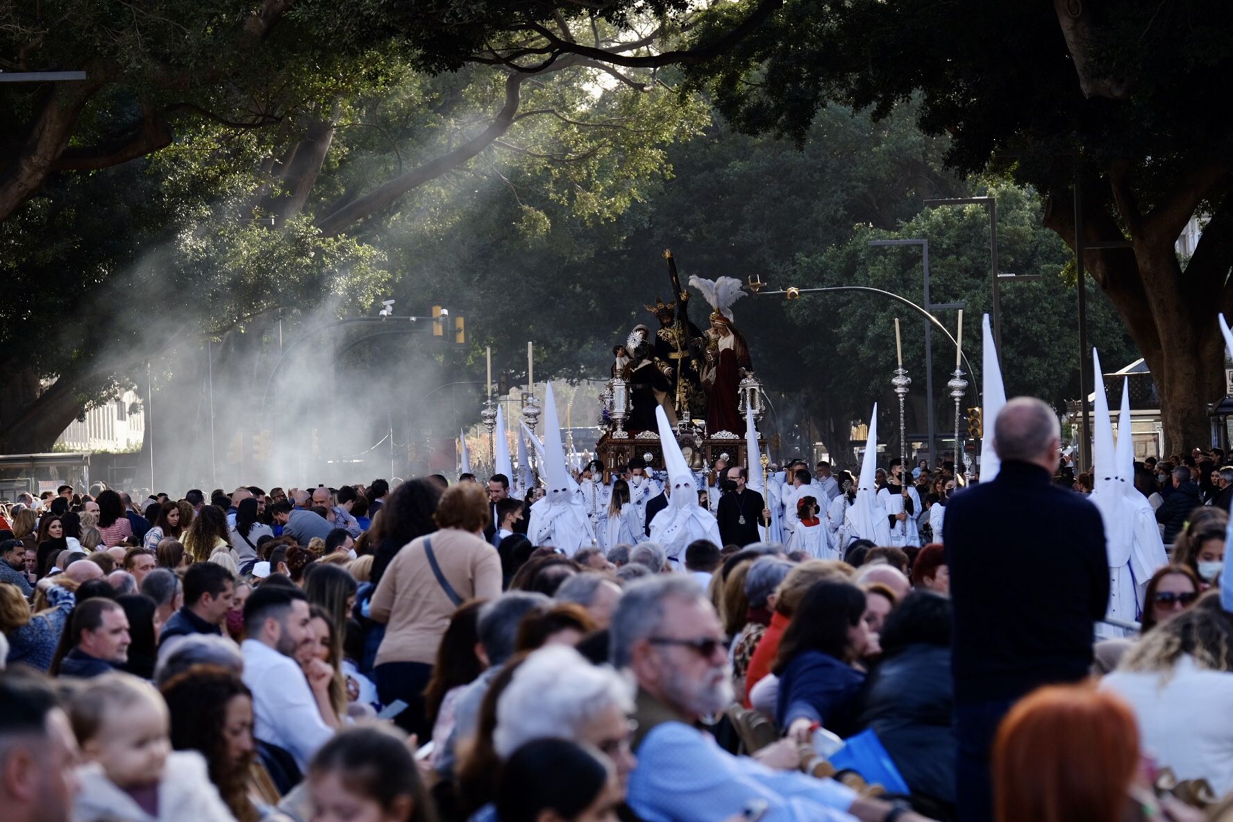 Salutación | Domingo de Ramos 2022