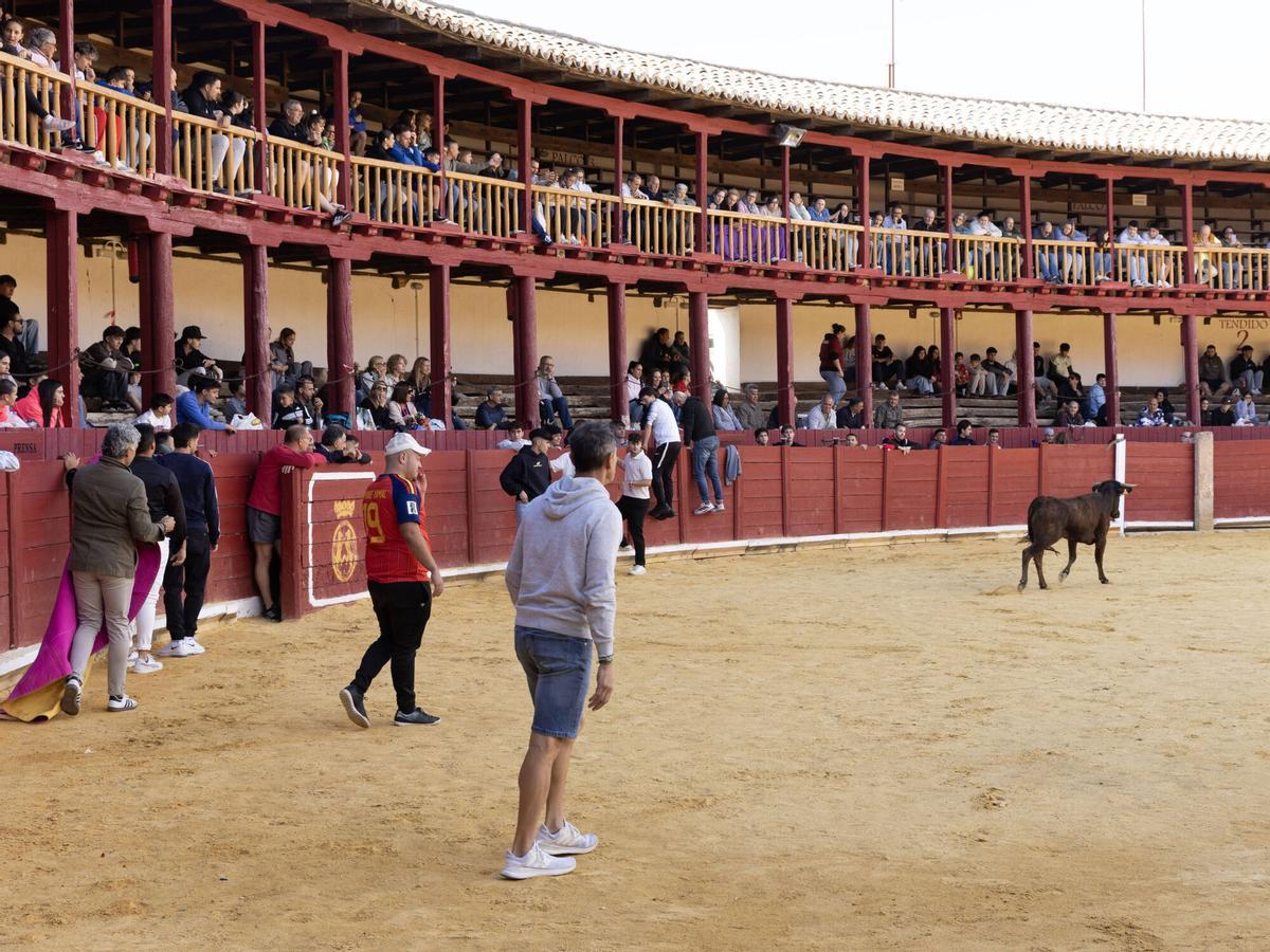 Tradicional Fuente de Vino, San Agustín 2026 Tradicional Fuente de Vino, San Agustín 2026