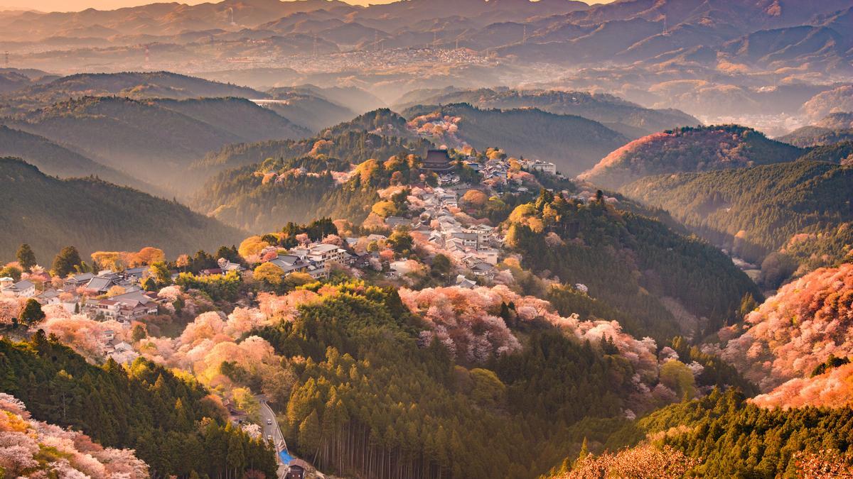 Los campos de flores más impresionantes del mundo: 10 imprescindibles