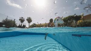 ¿Cuáles son las infecciones más comunes que se pueden contraer en una piscina?