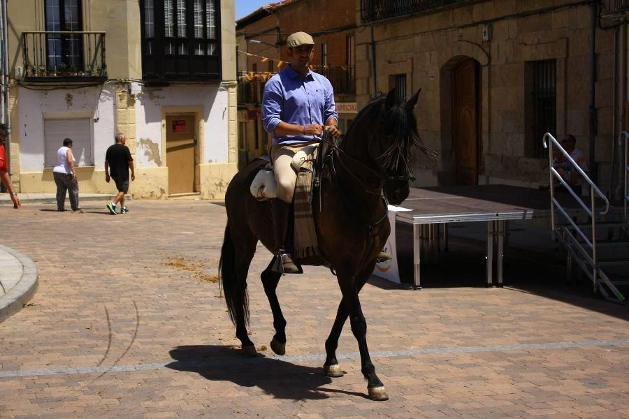 Feria del caballo en Fuentesaúco