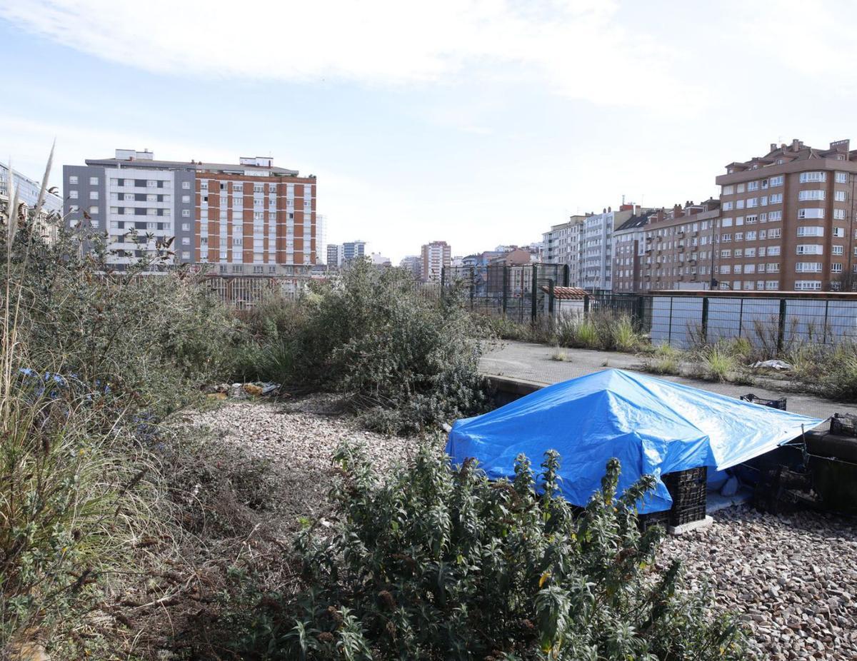 Una de las tiendas instaladas en el «solarón» por personas sin hogar. | Ángel González