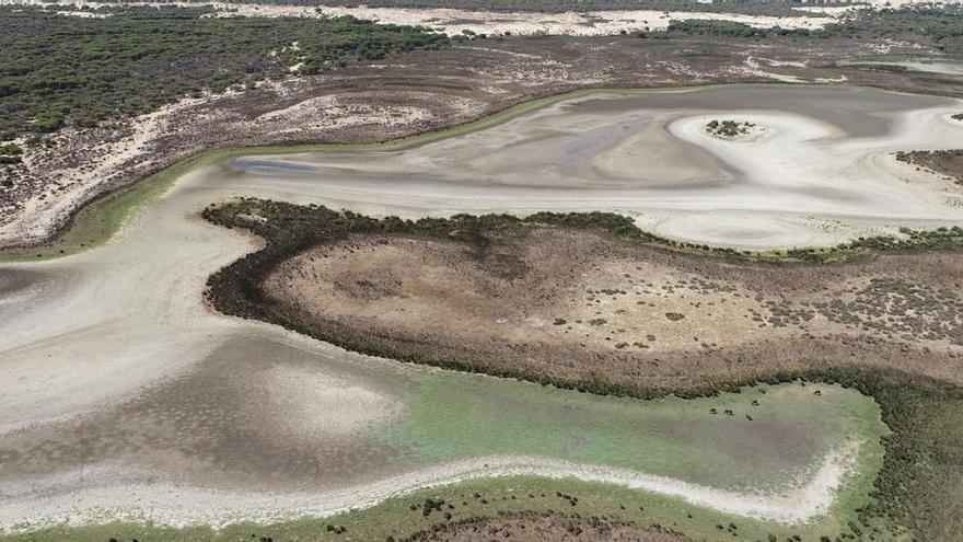 Aspecto de la laguna de Santa Olalla, en el parque de Doñana, este verano, sin agua.