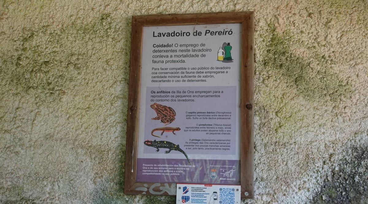 Actividades de voluntariado ambiental y cultural en la isla de Ons. Agosto 2026