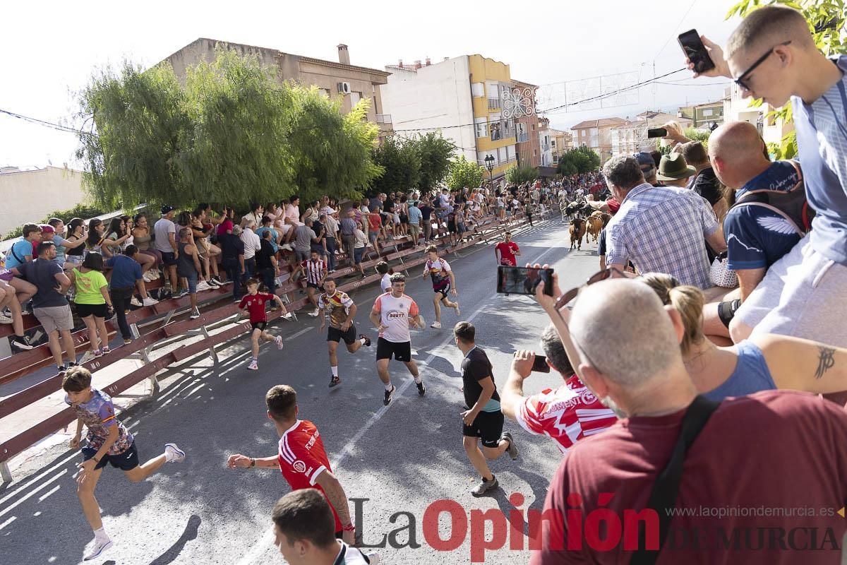 Primer encierro de las Fiestas de Moratalla