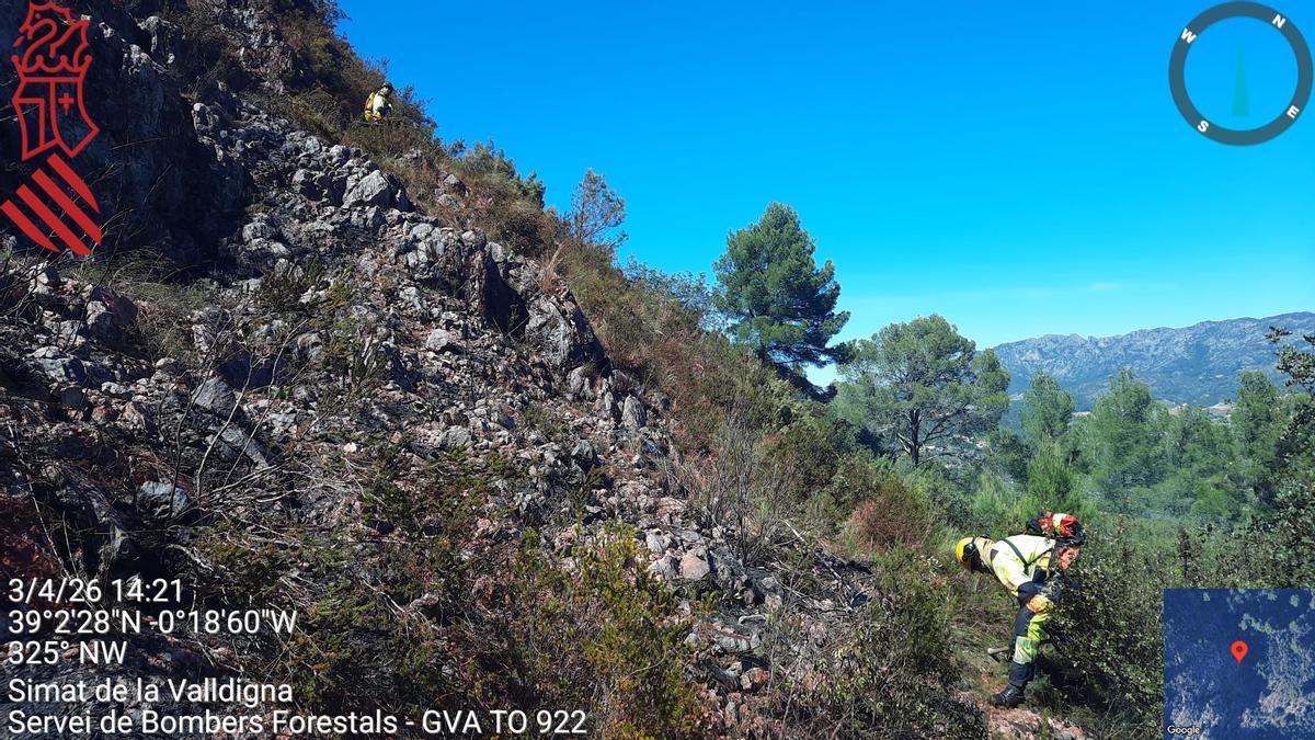 Bomberos limpian el bosque con el fin de evitar incendios forestales