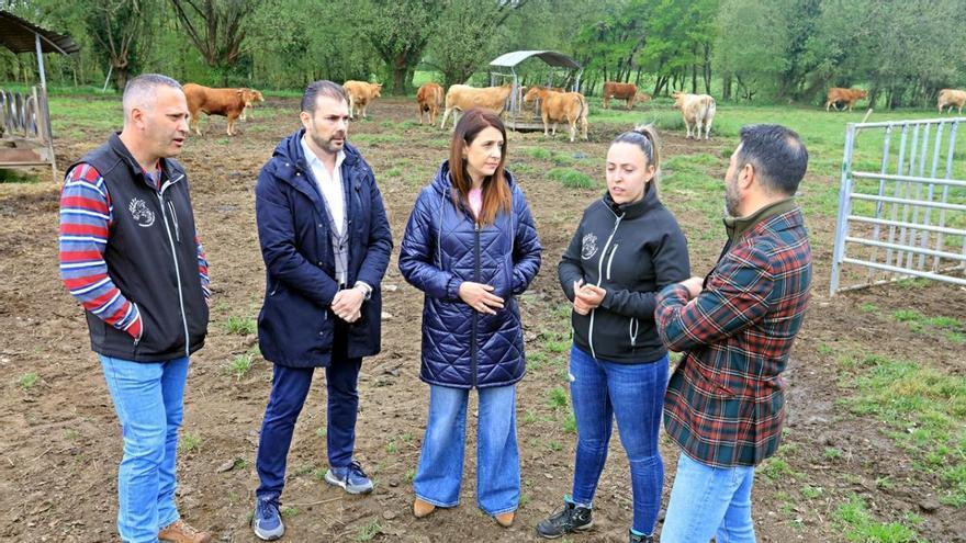La Xunta apoya el relevo generacional en el campo gallego con ayudas: más de 5.000 jóvenes incorporados desde 2009