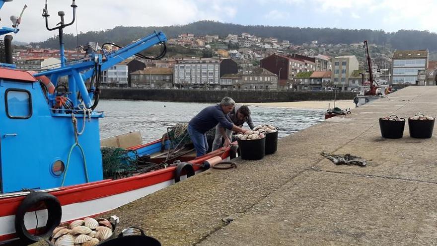 Un barco de Bueu descarga sus capturas de vieira en la explanada de la lonja. |   // SANTOS ÁLVAREZ