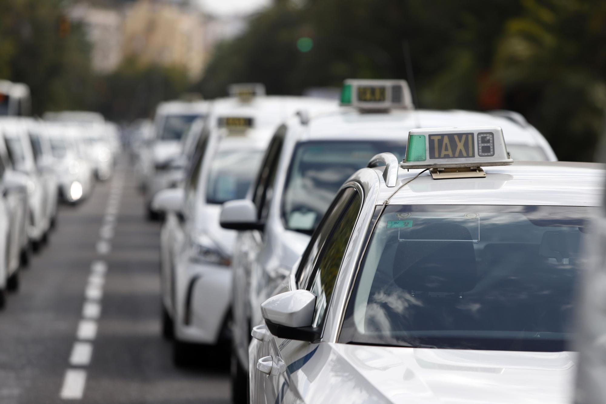 Manifestación del sector del taxi en Málaga contra el intrusismo de las VTC