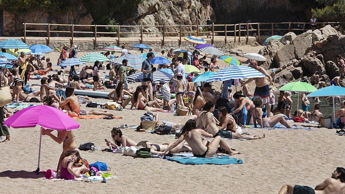 Banyistes aquest any a la cala Sant Francesc de Blanes