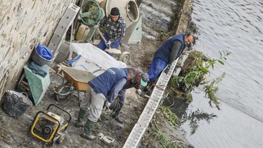 Reanudan la limpieza del río Segura