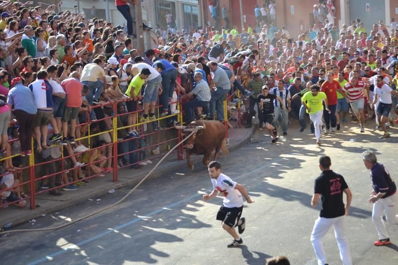 La carrera del Toro Enmaromado 2017 Razonador