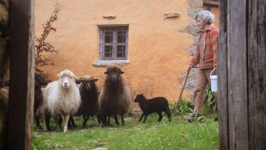 Dos emprendedoras asturianas logran usar la lana de oveja xalda con fines textiles