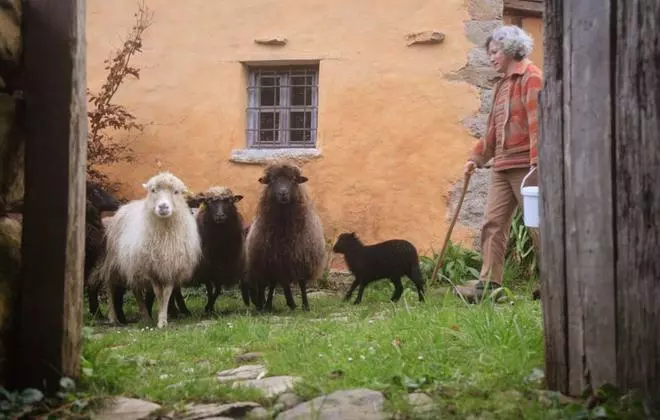 Dos emprendedoras asturianas logran usar la lana de oveja xalda con fines textiles