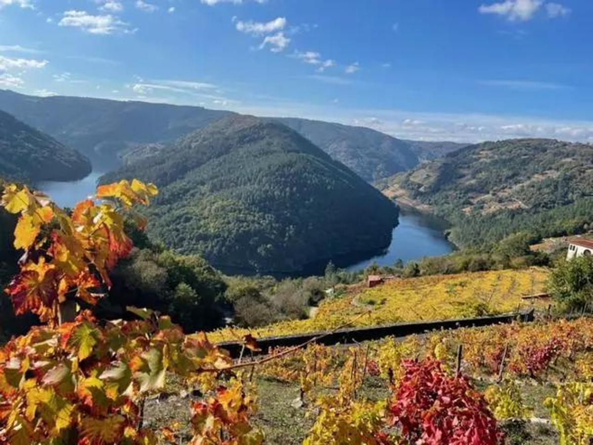 Vistas de la Ribeira Sacra.