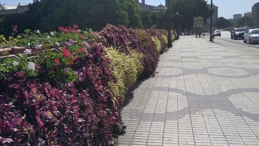 La barrera de flores del Guadalmedina