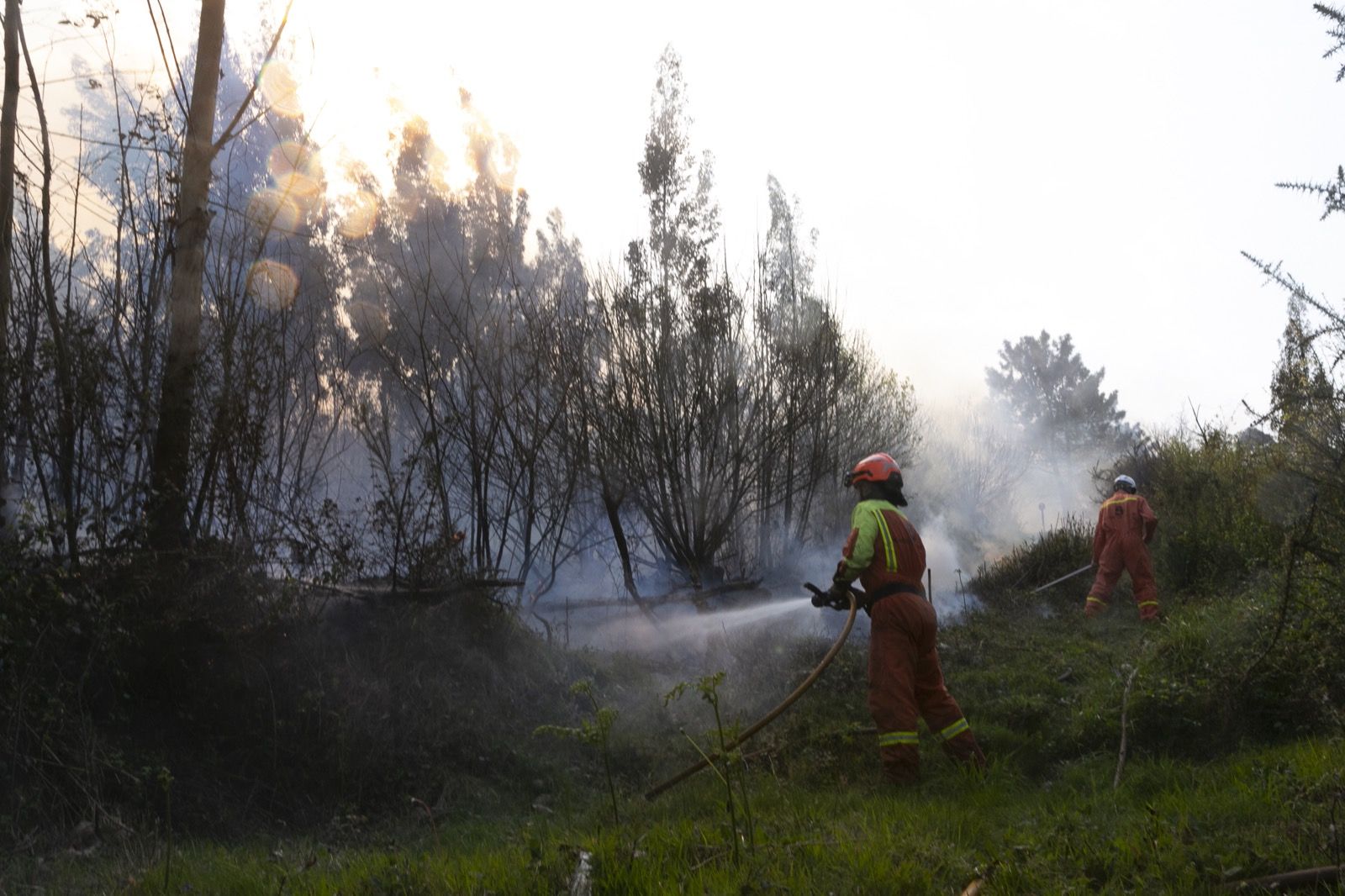 Imágenes del incendio de la Plata en Castrillón