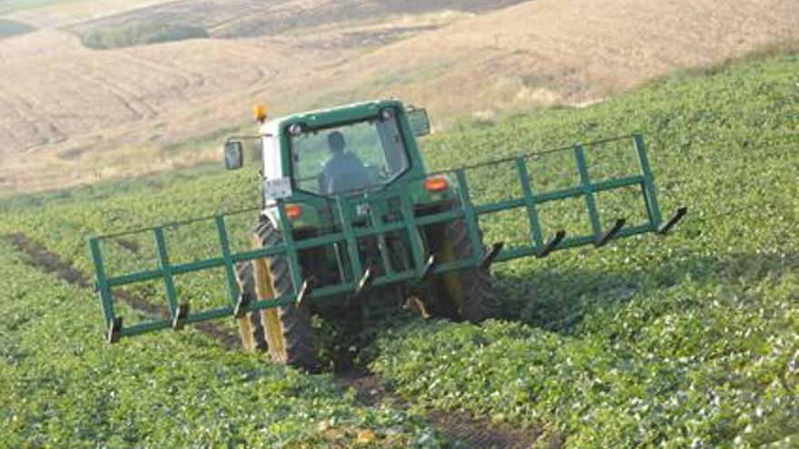 La Junta de Andalucía pide una rebaja fiscal del 50% para el sector agrario