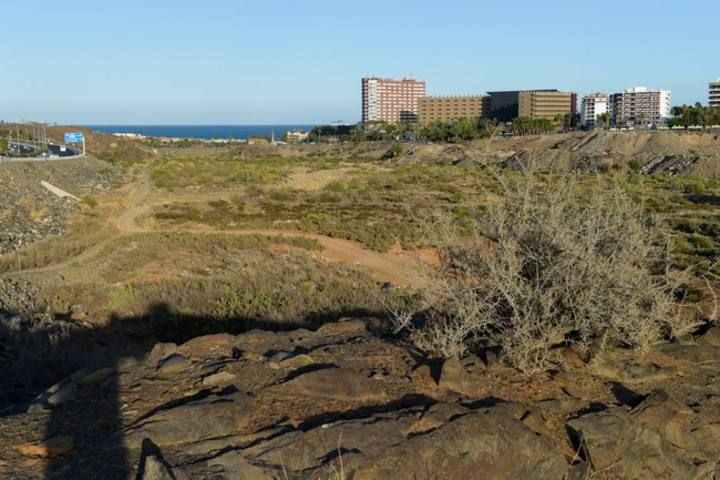 Terrenos en El Veril, donde se va a construir el Siam Park