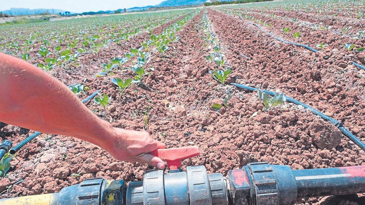 Aquesta tecnologia millora la gestió sostenible dels recursos hídrics.