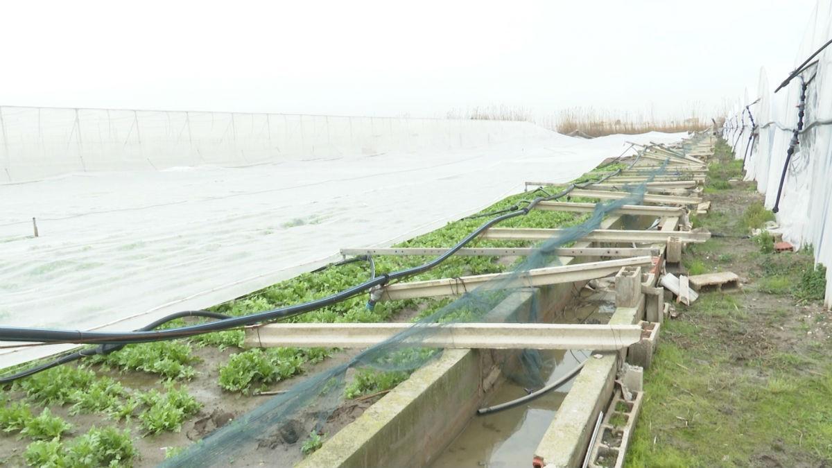 Zona afectada por el temporal ’Gloria’.