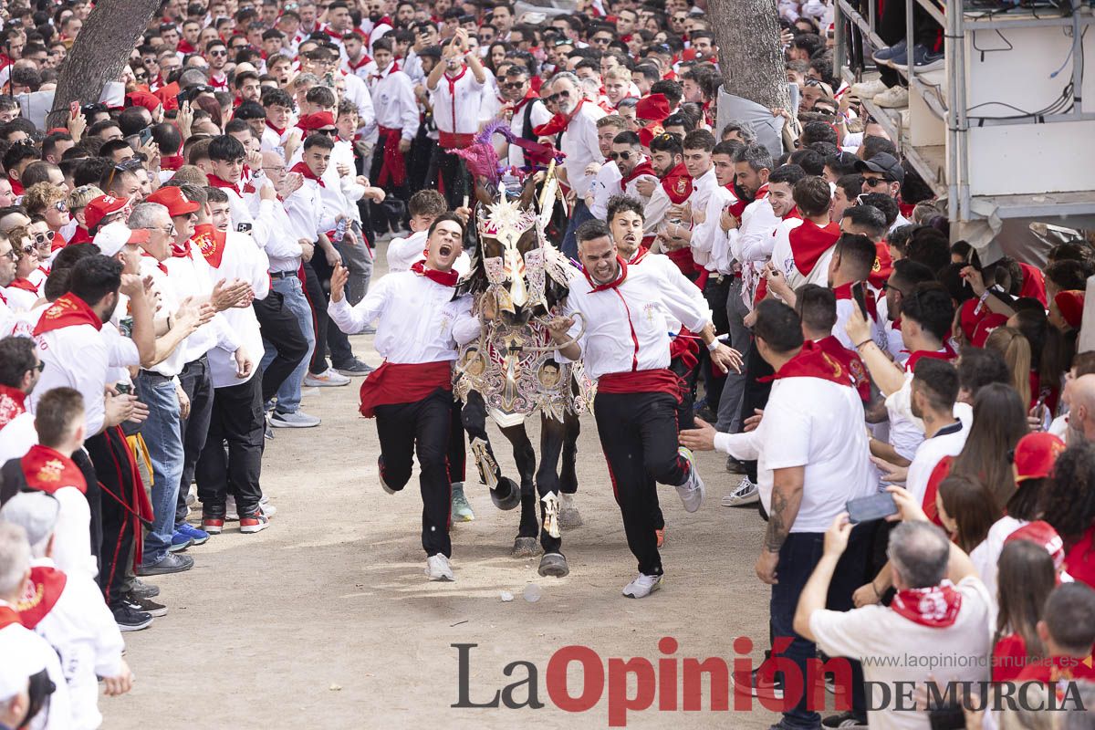 Así se ha vivido la carrera de Los Caballos del Vino en Caravaca