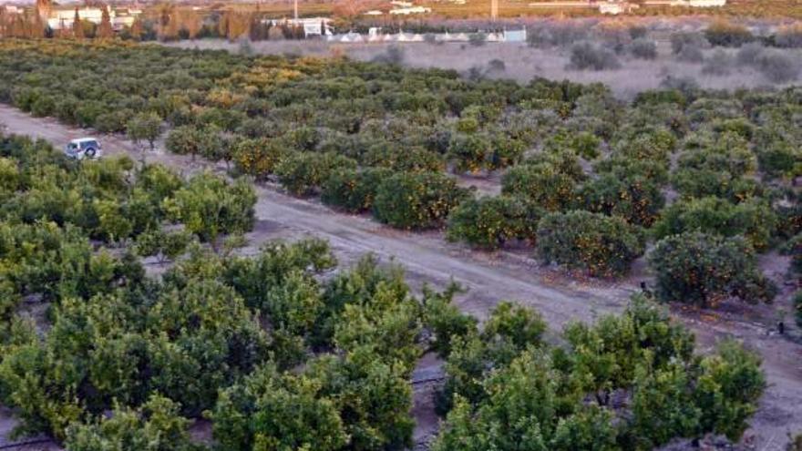 La agricultura acapara el 77 % de la demanda hídrica de la provincia.