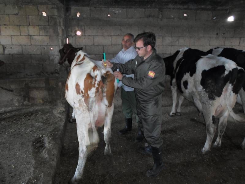 FOTOGALERÍA / Veterinarios de la UCO en Líbano