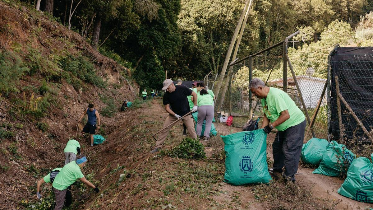 Voluntarios trabajan en un entorno rural de Tenerife.