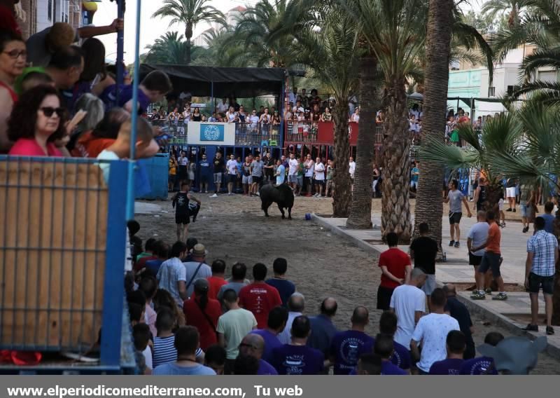 Fiestas de Sant Pere 2018