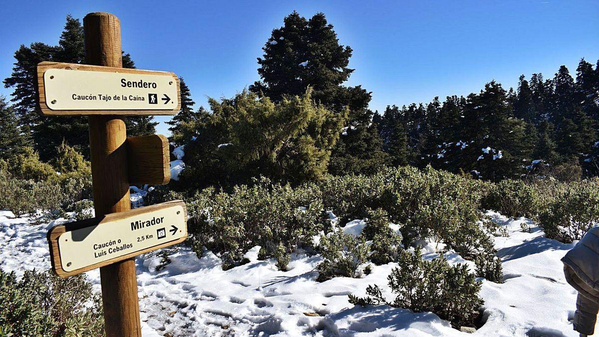 Sierra de las Nieves.