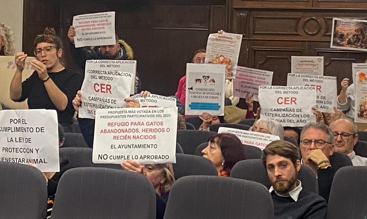 Reivindicación de varios colectivos durante un pleno de Sagunt en defensa de las colonias felinas.
