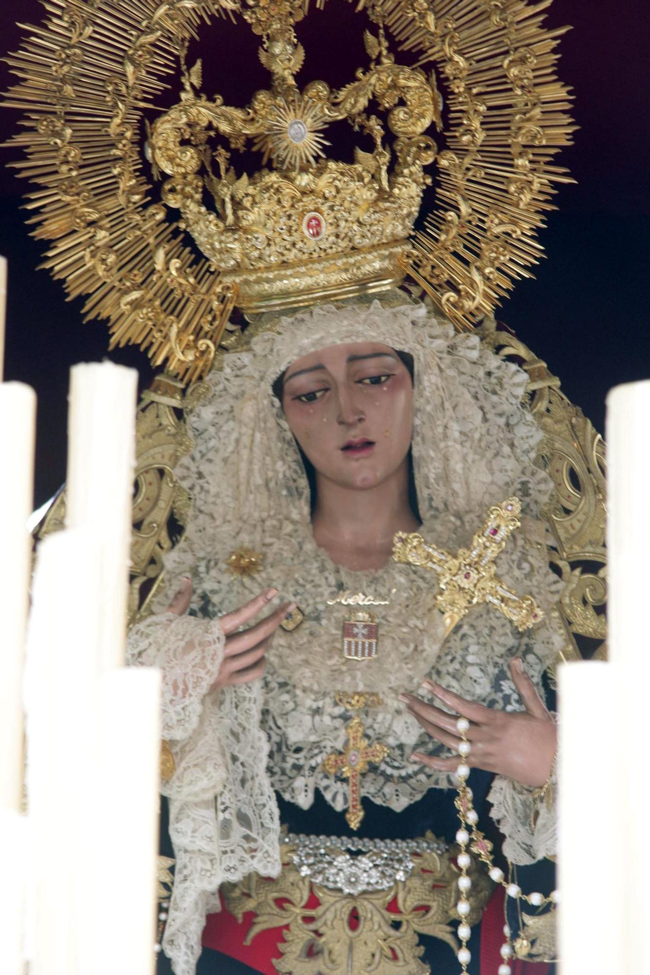 Humildad I Domingo de Ramos 2025