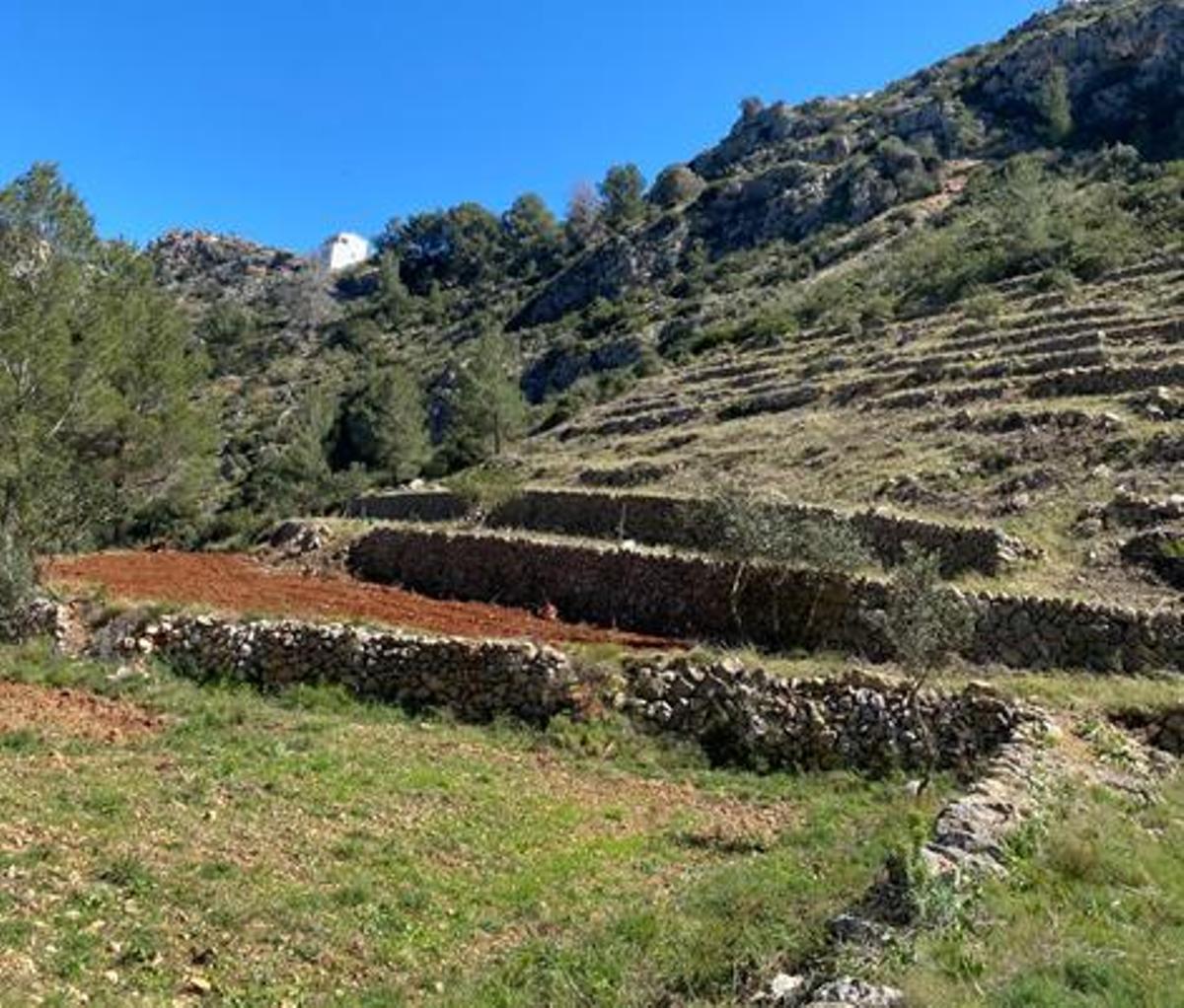 La ladera está abancalada con muros de "pedra seca"