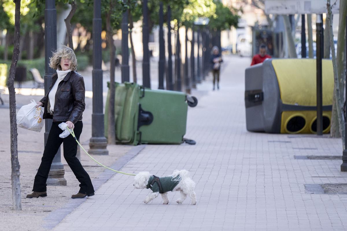 CASTELLÓN DE LA PLANA, 14/02/2026.- Una mujer pasea junto a su perro, este sábado en Castellón. La borrasca Oriana que desde ayer azota a todo el país ha motivado la activación de avisos en prácticamente todas las comunidades autónomas, que serán de nivel 'rojo' (peligro extraordinario) en la provincia de Castellón ante los fuertes vientos, que pueden alcanzar los 140 kilómetros por hora. EFE/ Andreu Esteban