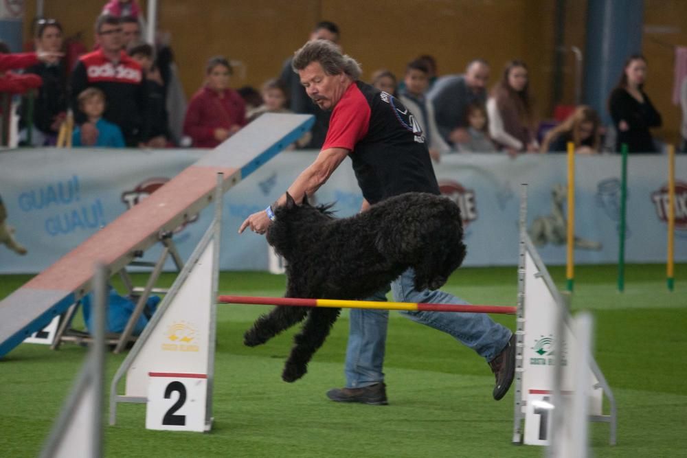 La Mascotada da brillo a Expocachorro