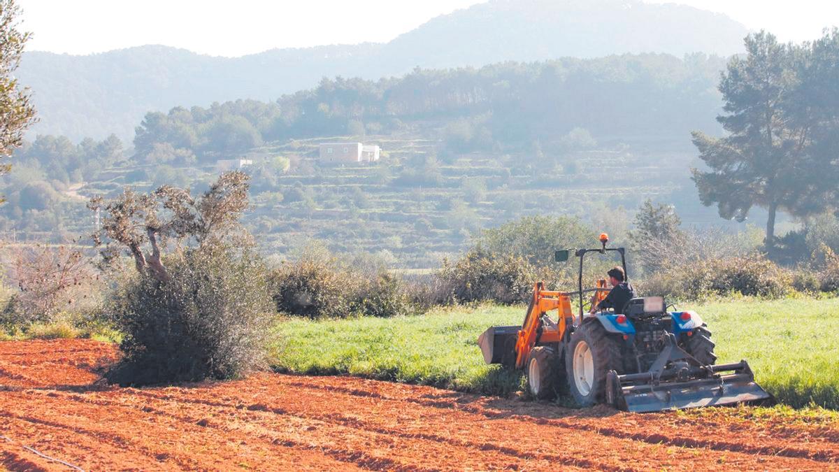 L’agricultura requereix cada cop més professionalització.