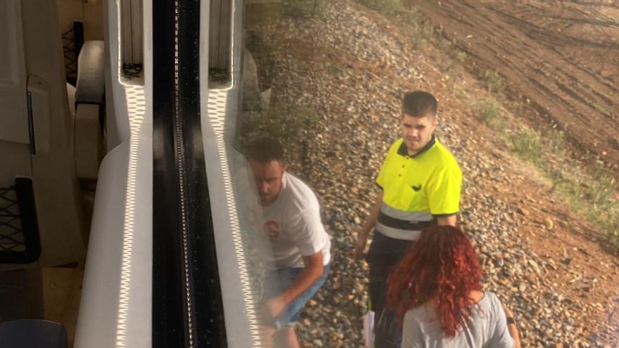 El atropello de un animal causa retrasos de más de dos horas en el tren Cáceres-Sevilla, según Renfe