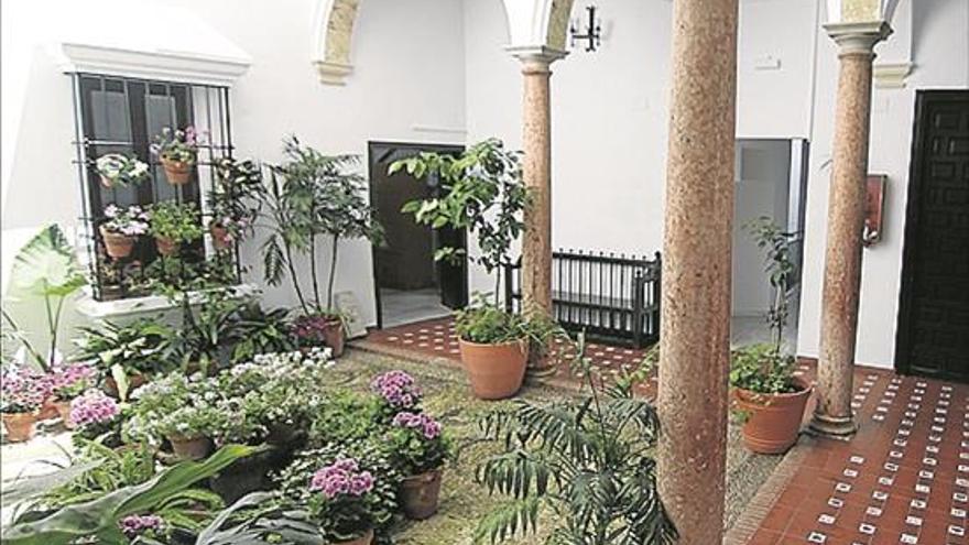 Patios de Córdoba: flores institucionales