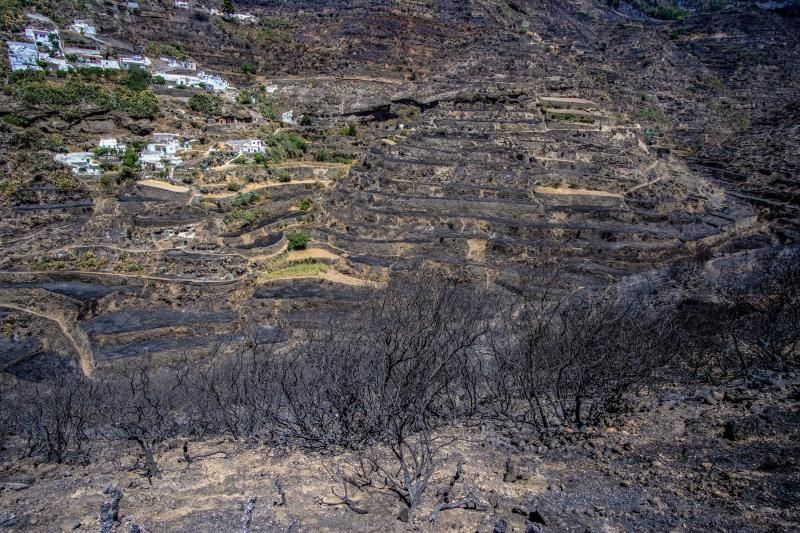 Consecuencias del incendio: De Valleseco a Artenar