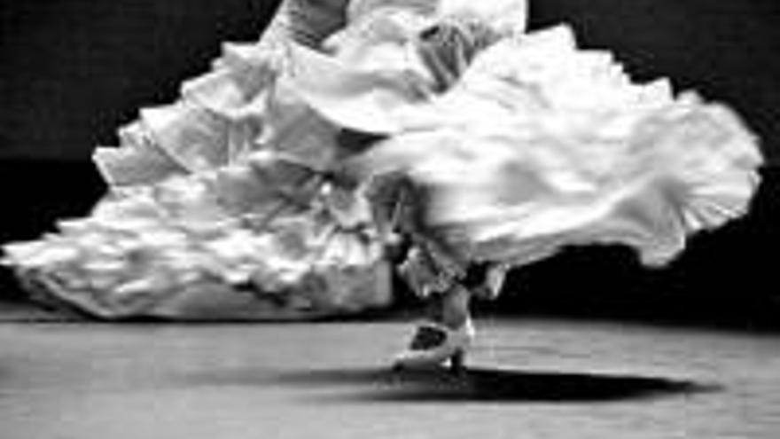 Rock, flamenco, baile y deportes en el certamen estival de arroyo de la luz