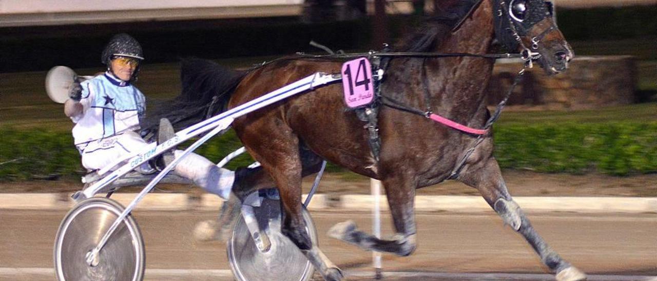 Joan Riera Sitges celebra una de sus victorias con el caballo francés Set et Match.