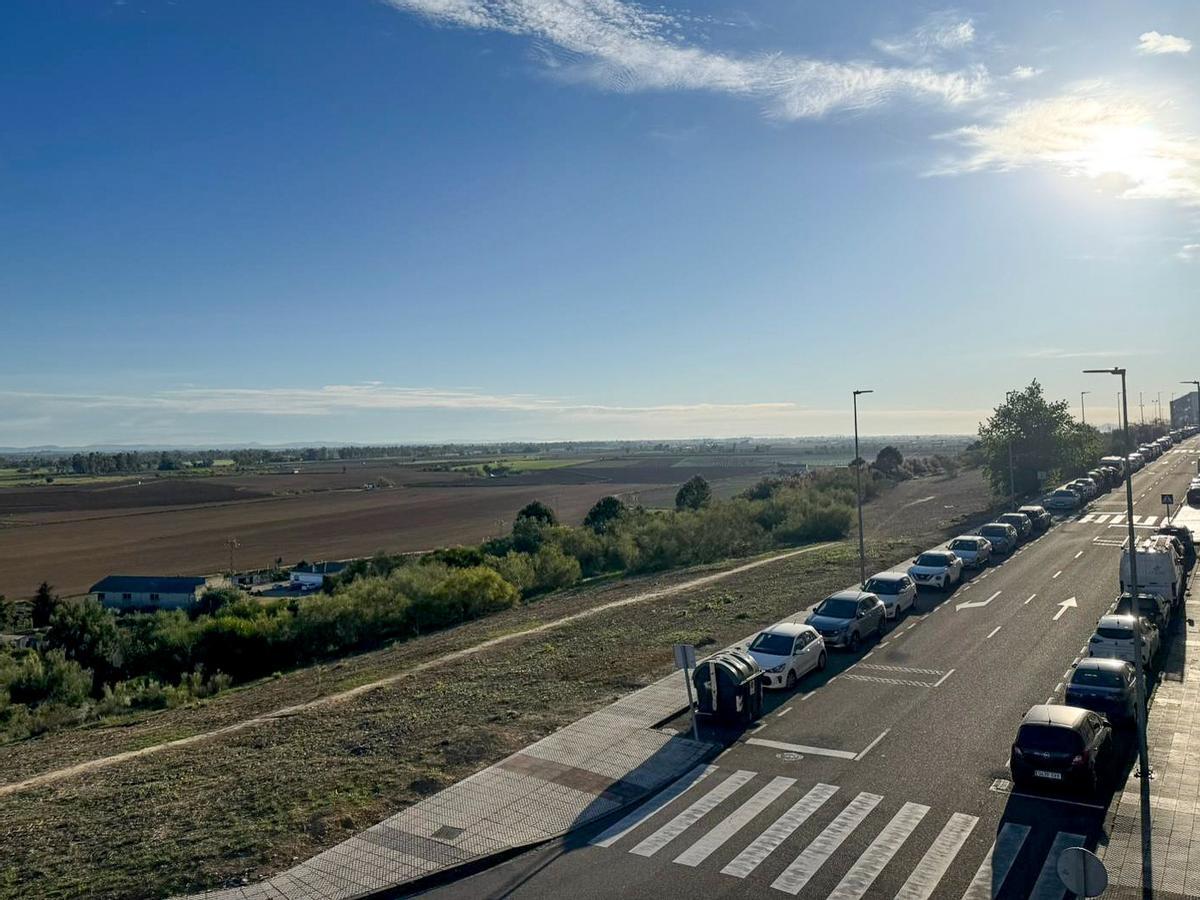 Vista de los terrenos donde está proyectado el futuro centro de Educación Secundaria de Cerro Gordo.