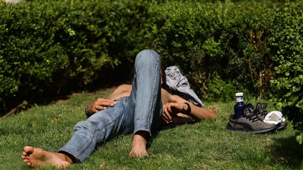 Un hombre disfruta del sol en un parque.